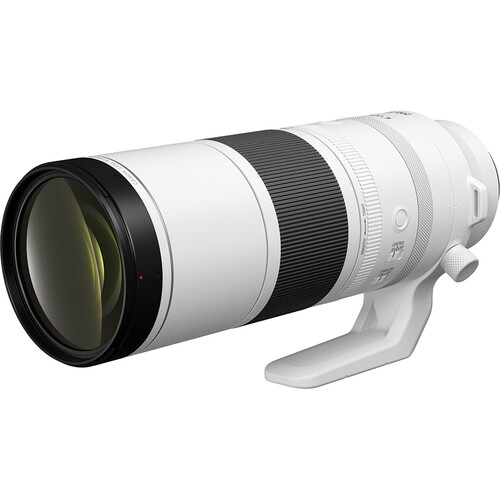 Canon 200-800 f/6.3-9 RF-mount - Image 4